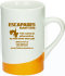 Promotional Orange